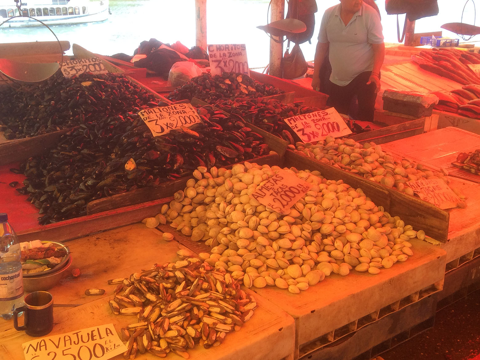 Fischmarkt in Valdivia - 1