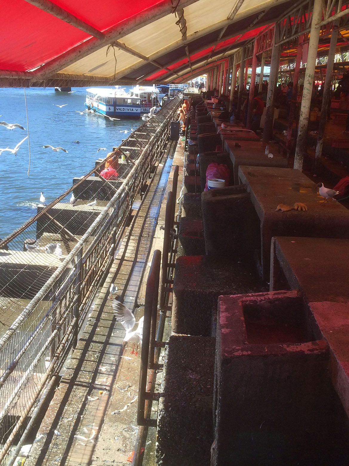 Fischmarkt in Valdivia - 2